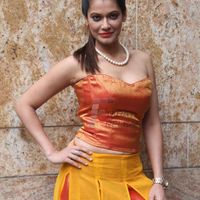 Payal Rohatgi Photos