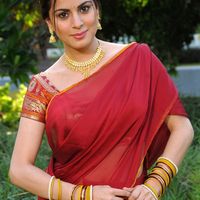 Shraddha Arya Photos