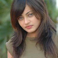 Sneha Ullal Photos