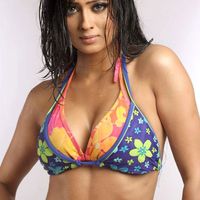 Shweta Tiwari Photos