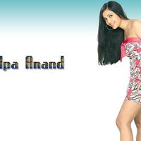 Shilpa Anand Photos