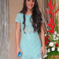 Tara Sharma Photos