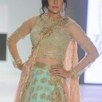 Aditi Govitrikar Photos
