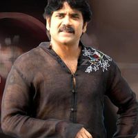 Nagarjuna Photos