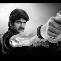 Nagarjuna Photos