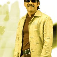 Nagarjuna Photos