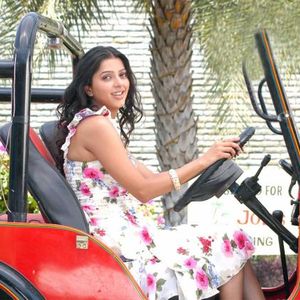 Bhoomika Chawla Image