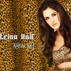 Katrina Kaif Image