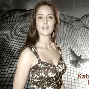 Katrina Kaif Image