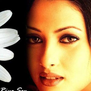 Riya Sen Image