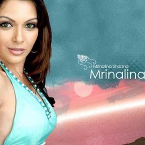 Mrinalini Sharma Image