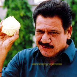 Om Puri Image