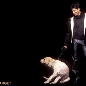 Shah Rukh Khan Image