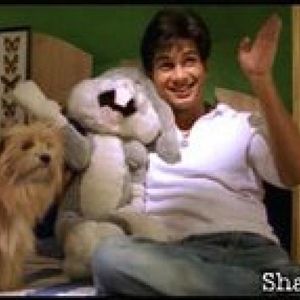 Shahid Kapoor Image
