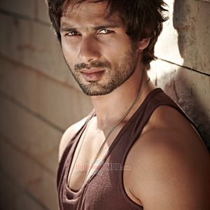 Shahid Kapoor Image
