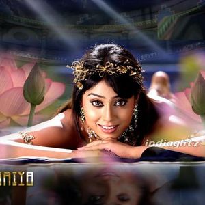 Shriya Saran Image