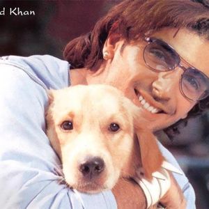 Zayed Khan Image