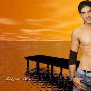 Zayed Khan Image