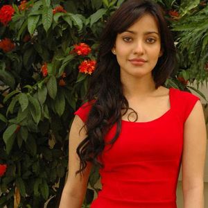 Neha Sharma Image