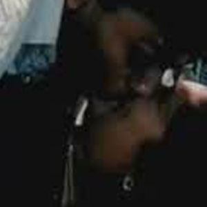 Tara Deshpande Image