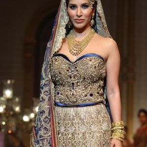 Sophie Choudry Image