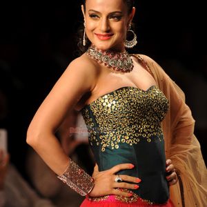 Amisha Patel Image