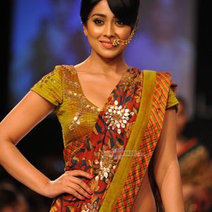 Shriya Saran Image