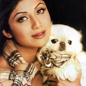 Shilpa Shetty Image
