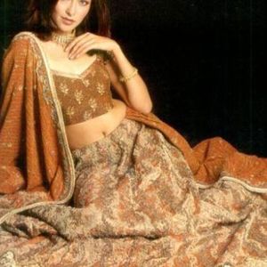 Aditi Govitrikar Image