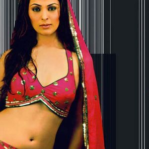 Anjana Sukhani Image