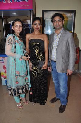 B-town personas at the premiere of sci-fi 'Shree'