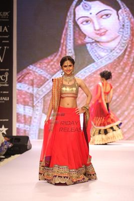 TV Celebs walk the ramp for Gitanjali Gems at IIJW 2013