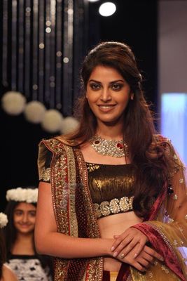 TV Celebs walk the ramp for Gitanjali Gems at IIJW 2013