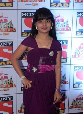 TV Celebs at SAB KE ANOKHE AWARDS 2013