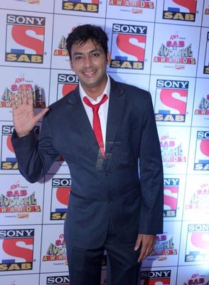 TV Celebs at SAB KE ANOKHE AWARDS 2013