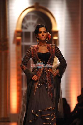 Evelyn Sharma walks the ramp at AAMBY VALLEY INDIA BRIDAL WEEK 2013