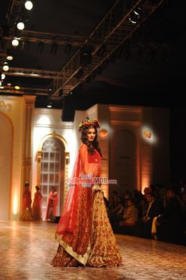 Evelyn Sharma walks the ramp at AAMBY VALLEY INDIA BRIDAL WEEK 2013