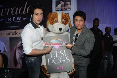 Bollywood Celebs at India Resortwear Fashion Week 2013