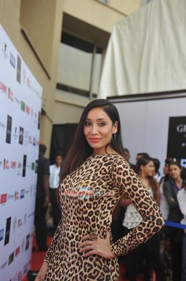Bollywood Celebs at India Resortwear Fashion Week 2013