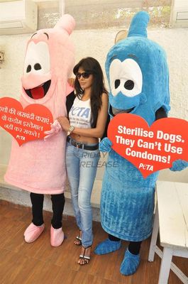 Stunningly beautiful Sherlyn Chopra at the promotional event of PETAs campaign of Safe Sex-for Animals