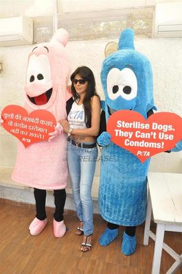 Stunningly beautiful Sherlyn Chopra at the promotional event of PETAs campaign of Safe Sex-for Animals