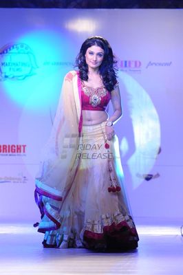Launch of Telly Calendar 2013 at Hotel Lalit