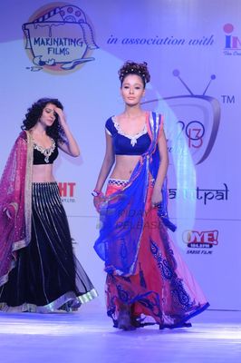 Launch of Telly Calendar 2013 at Hotel Lalit