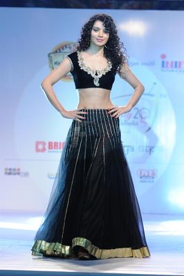 Launch of Telly Calendar 2013 at Hotel Lalit