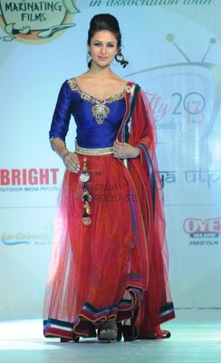 Launch of Telly Calendar 2013 at Hotel Lalit
