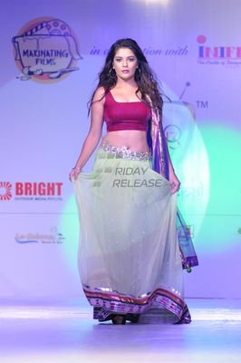 Launch of Telly Calendar 2013 at Hotel Lalit