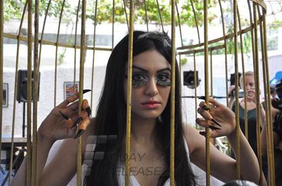 Adah Sharma locks herself inside cage for PETA Campaign