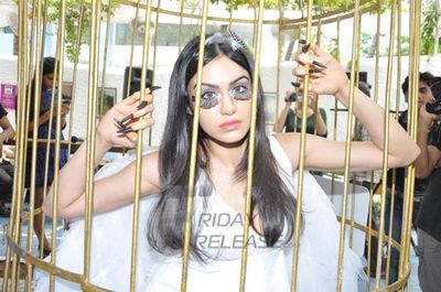 Adah Sharma locks herself inside cage for PETA Campaign