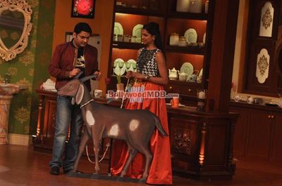 Deepika Padukone & Ranveer Singh promote film 'RAM-LEELA' on Comedy Nights with Kapil sets