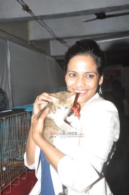 Kalki Koechlin, Priyanka Bose, Gulshan Devaiah, Lauren Gottlieb at Pet Adoption 2013